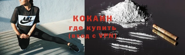 индика Абинск