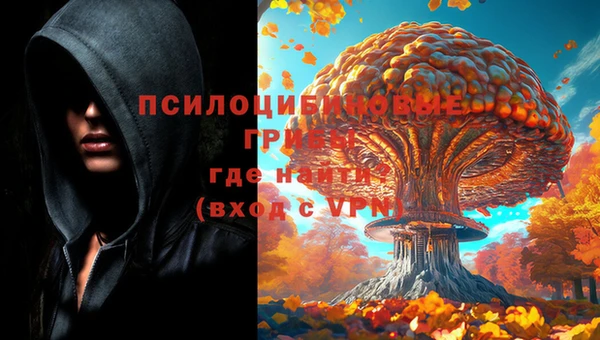 гашик Абаза