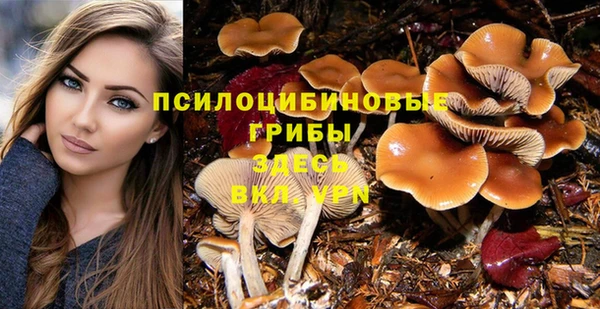 mix Алексеевка
