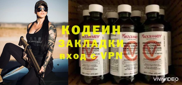 метадон Алексин