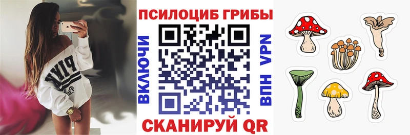 Галлюциногенные грибы Psilocybine cubensis  что такое наркотик  Абакан 