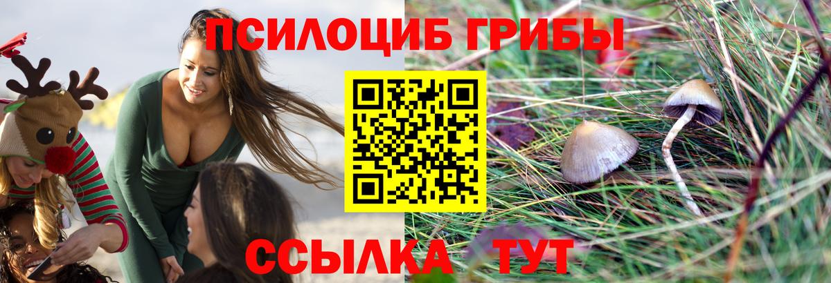 Абакан  Галлюциногенные грибы MAGIC MUSHROOMS  Галлюциногенные грибы Magic Shrooms  Вход с VPN 