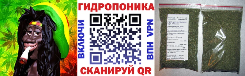Канабис OG Kush  Абакан 